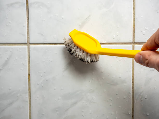 Best Same-Day Mold Removal  in Gulf Breeze, FL